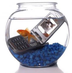Recovering data after a swim.