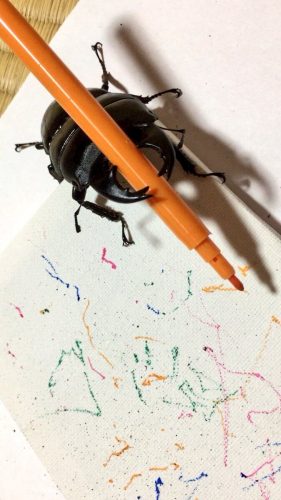Spike the Beetle