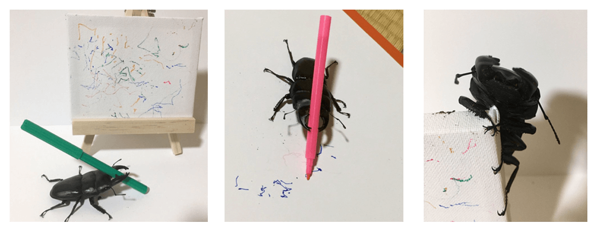 Spike the Beetle